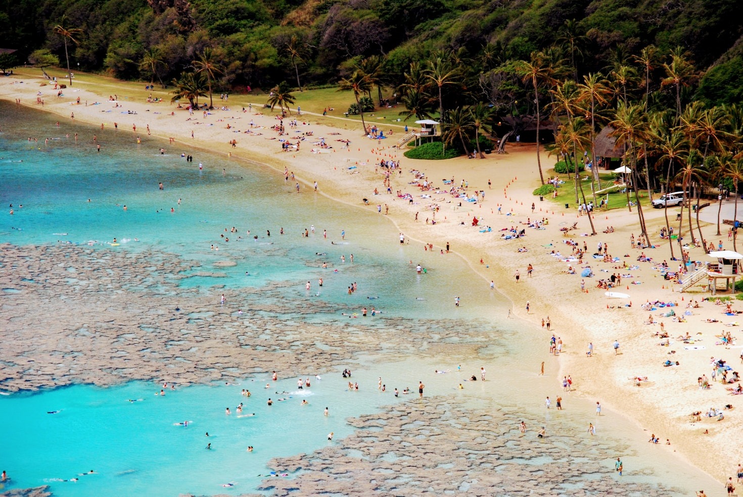 How to Secure the Best Travel Deals